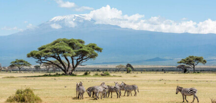 Visa requirements for United States of America passport holders traveling to Kenyan