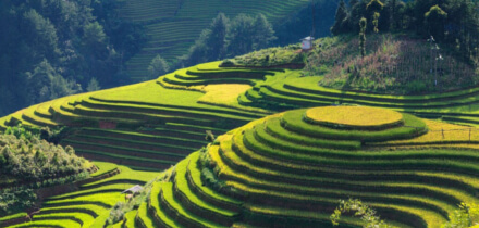 Visa requirements for United States of America passport holders traveling to Vietnamese